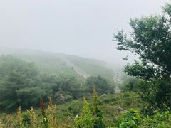 -阳台山自然风景区