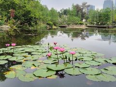 -云溪植物园