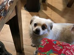 -小锅巴纳西餐厅