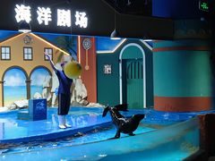 -重庆欢乐海底世界