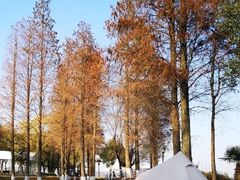 -上海美帆帆船露营基地