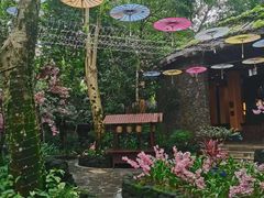 -海口观澜湖火山温泉谷