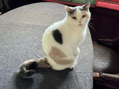 -莫内艺术岛海景咖啡