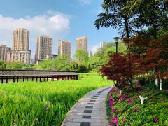 -龙头寺公园