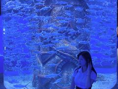-哈尔滨波塞冬海底世界