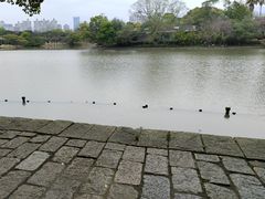 -江心屿景区