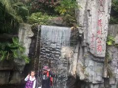 -广州市流溪河国家森林公园