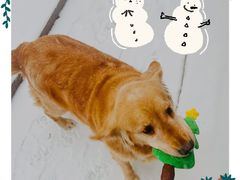 -春风习习