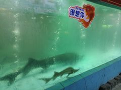 -年辉渔村·非遗传承餐厅(新丰江店)