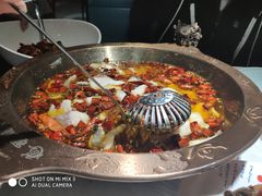 招牌水煮草鱼-雲蜀龙阁·金牌水煮鱼(方庄店)