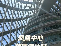 -凤凰中心