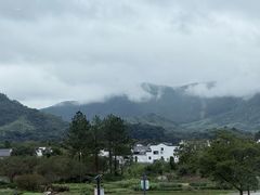 -黄牛肉馆·皖南土菜