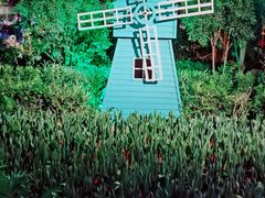 -南宫五洲植物乐园