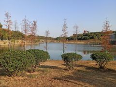 -东莞植物园