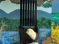 -苏州太湖国家湿地公园