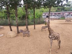 -大连森林动物园