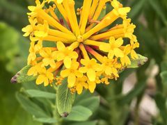 -桑吉林新派藏餐·汤锅·川菜