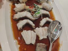 招牌老虎斑-神仙馆(衡山路店)