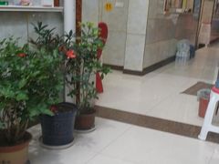 -宾朋海鲜特色美食餐厅·纯手工鲅鱼水饺(兴海路店)