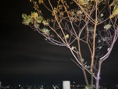 -高榜山景区