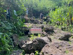 -海口火山口国家地质公园