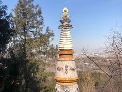 -颐和园