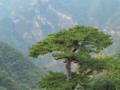 -圣莲山风景区
