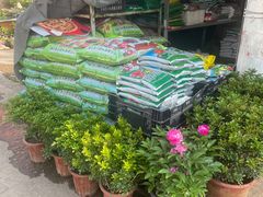 -金陵花卉交易市场