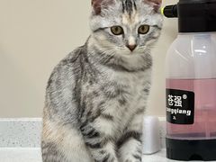 -御宝贝24h宠物医院·转诊中心·CT核磁血透中心(厦门总院)