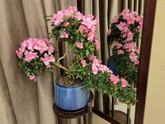 -颐而康·按摩·艾灸·足疗(汽车东站店)