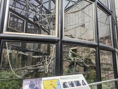-石排湾郊野公园
