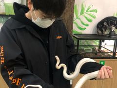 -藦茜花园宠物主题亲子互动体验馆(国顺东路店)