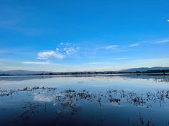 -上海海事大学(临港校区)