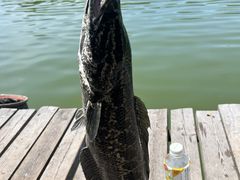 -新怡路亚垂钓园