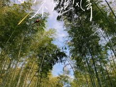 -大奇山国家森林公园