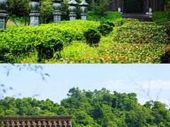 -灵隐飞来峰景区