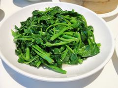 芥兰苗-天然台1908(中建广场店)