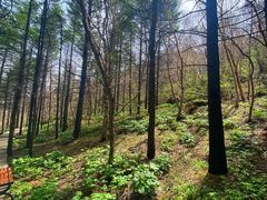 -白草畔自然风景区