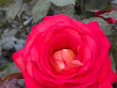 -人民公园(罗湖区)