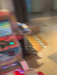 -卡通尼·Safari非洲探索乐园·生日会(金桥国际商业广场店)