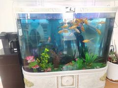 -云镜眼镜加工中心(南环路店)