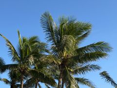 -亚龙湾中心广场