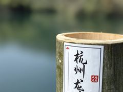 -龙坞茶村
