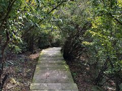 -敬亭山风景名胜区