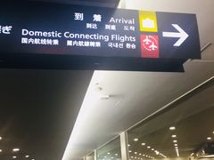 -中部国际机场