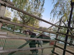 -羊亭河湿地公园