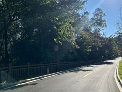 -广州市流溪河国家森林公园