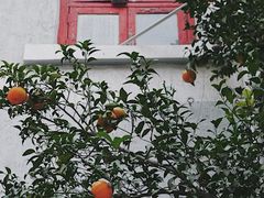 -二楼南书房