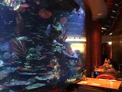 -迪拜帆船酒店海底餐厅