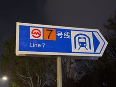 -杨高南路(地铁站)